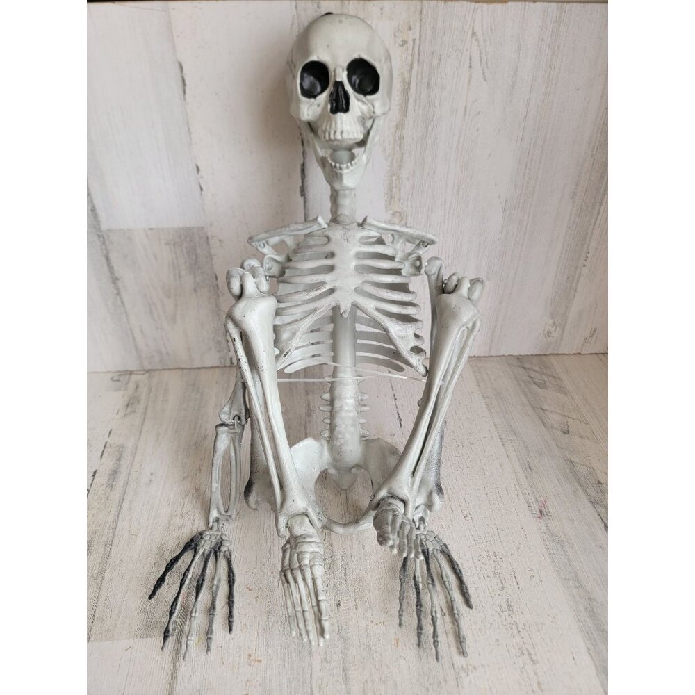 Skeleton prop bone hanging Halloween home decor skull‎ scary